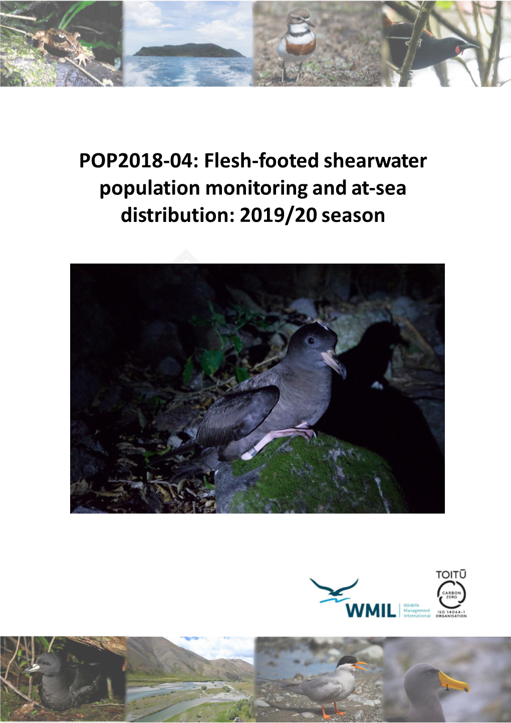 Flesh-Footed Shearwater Population Monitoring and At-Sea Distribution: 2019/20 Season DRAFT