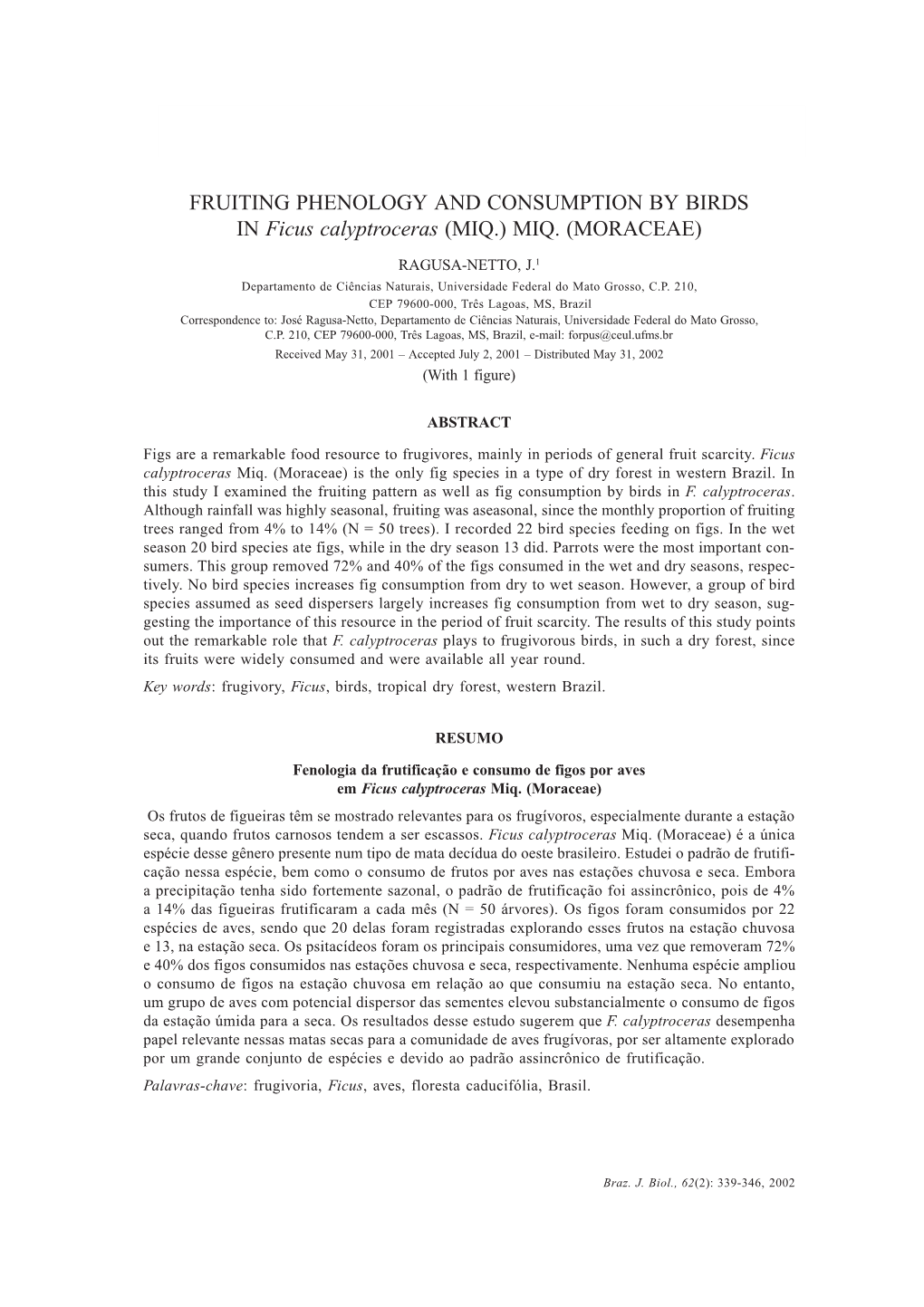 FRUITING PHENOLOGY and CONSUMPTION by BIRDS in Ficus Calyptroceras (MIQ.) MIQ