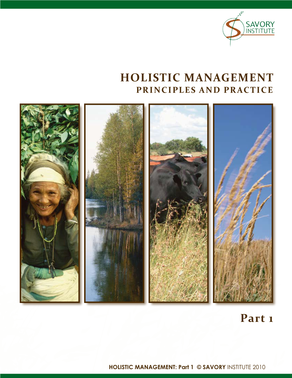 HOLISTIC MANAGEMENT Part 1