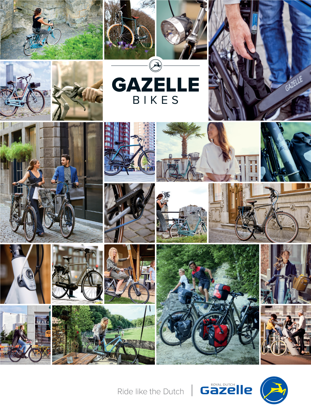 Gazelle E-Bike Guide Nm (Newton Meter)