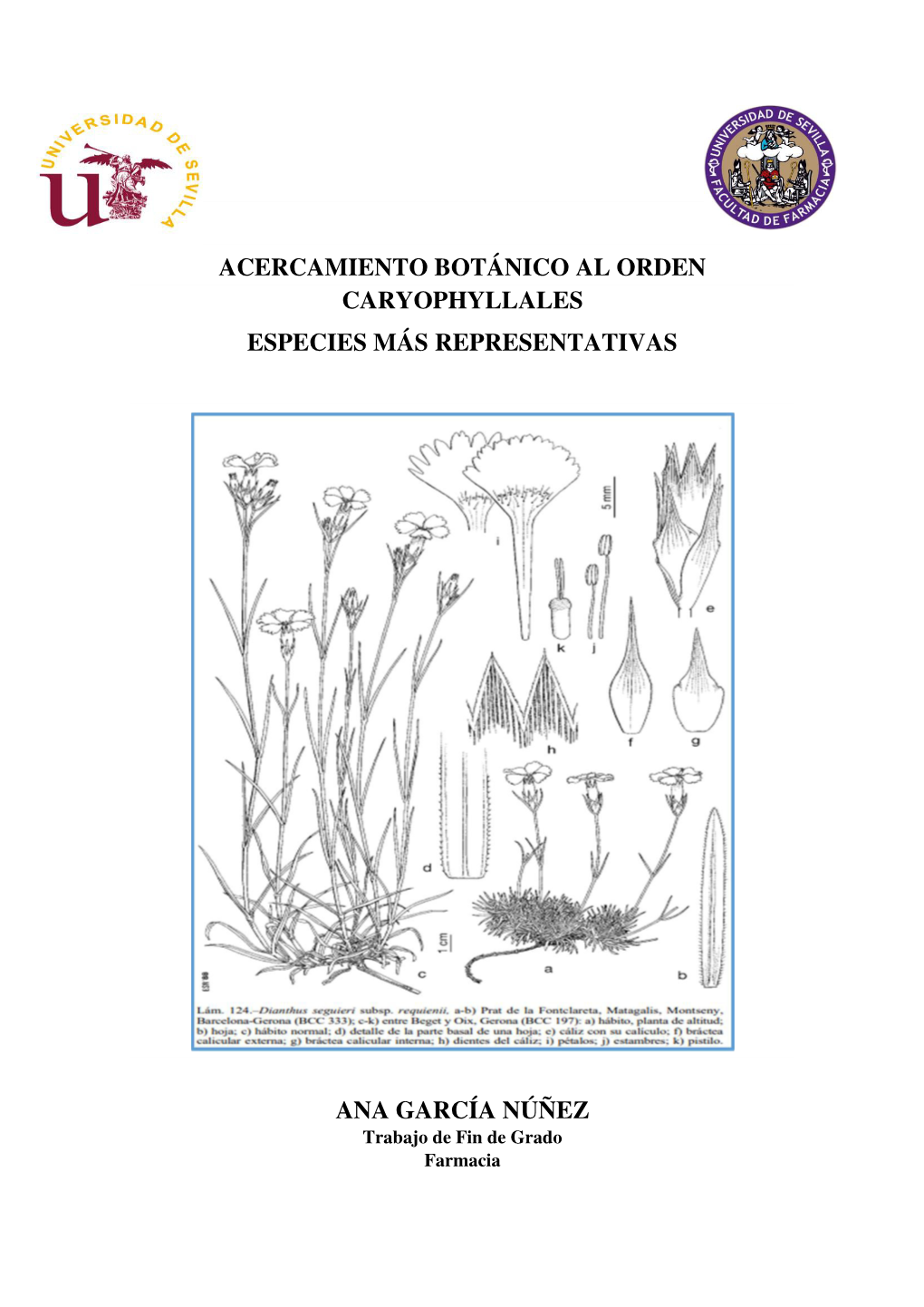 Acercamiento Botánico Al Orden Caryophyllales Especies Más Representativas