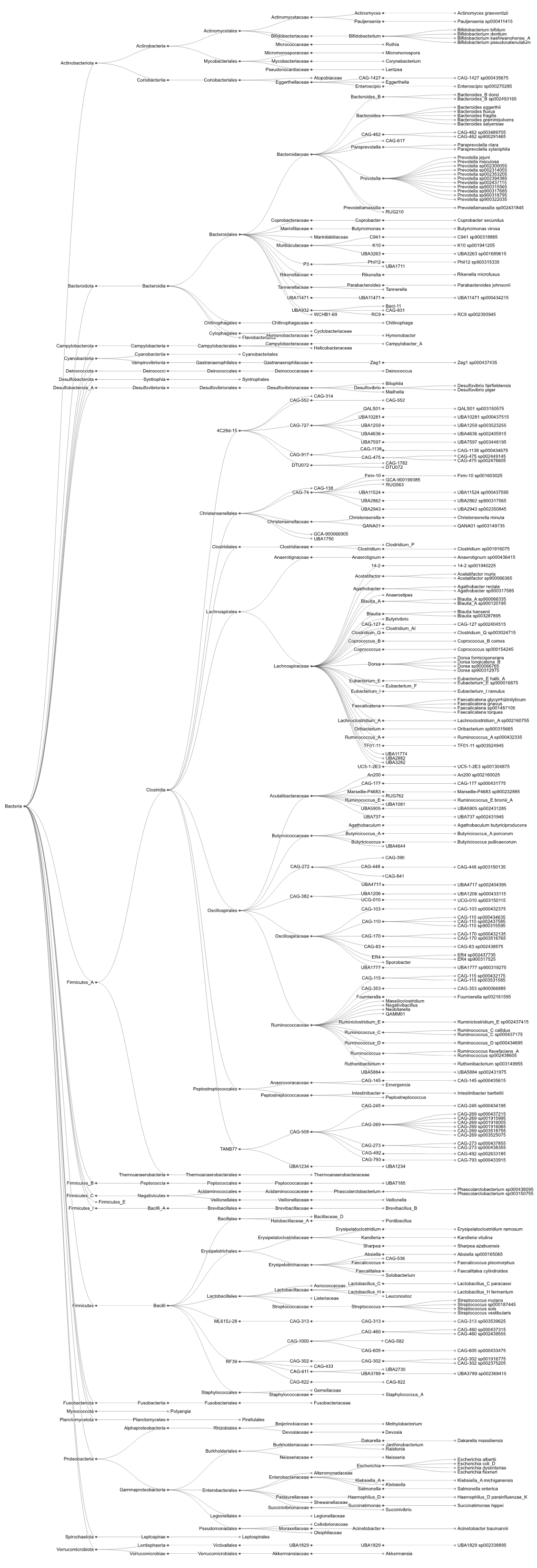 Bacteria Actinobacteriota Bacteroidota Campylobacterota Cyanobacteria