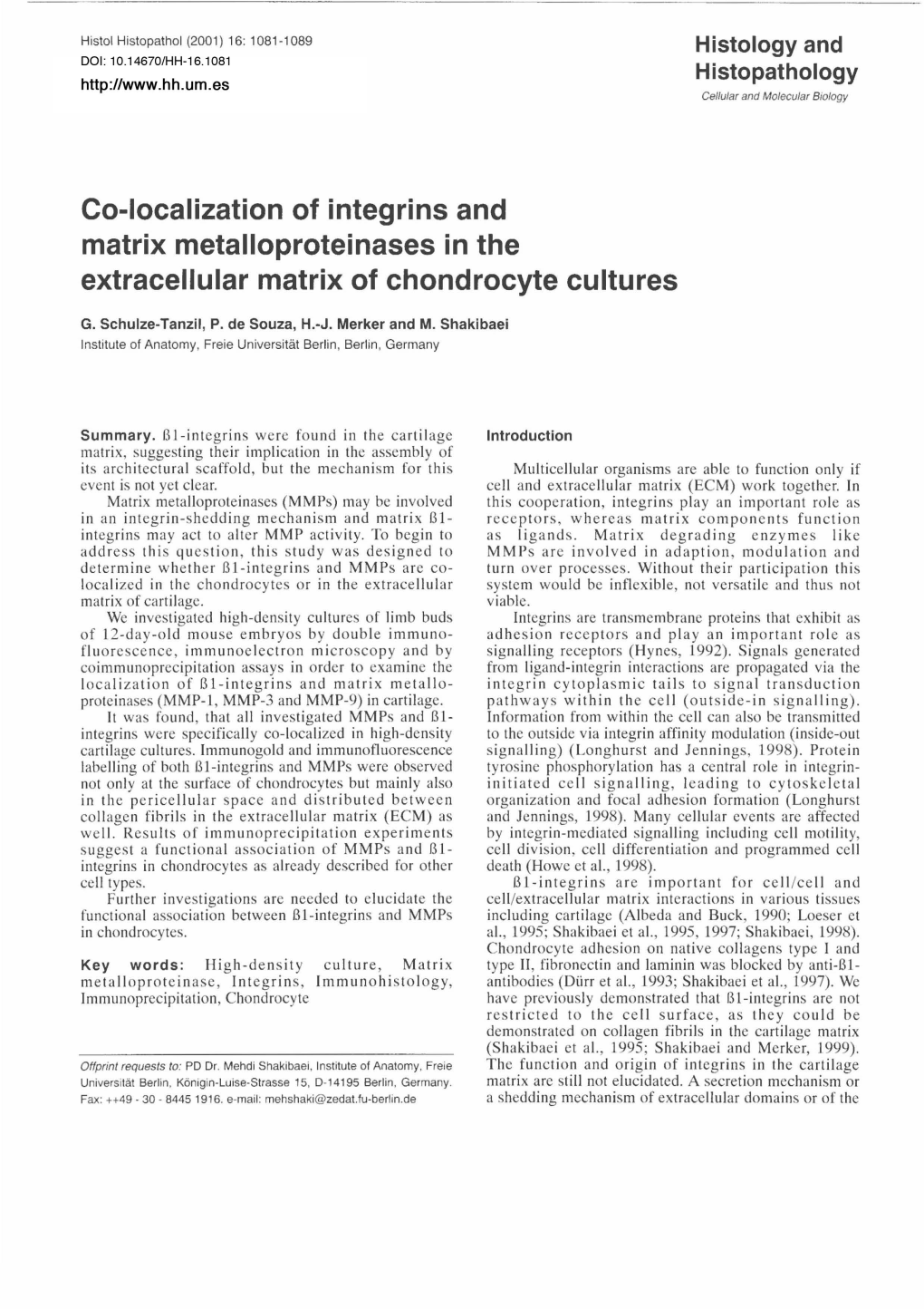 Co-Localization of Integrins and Matrix Metalloproteinases in the Extracellular Matrix of Chondrocyte Cultures