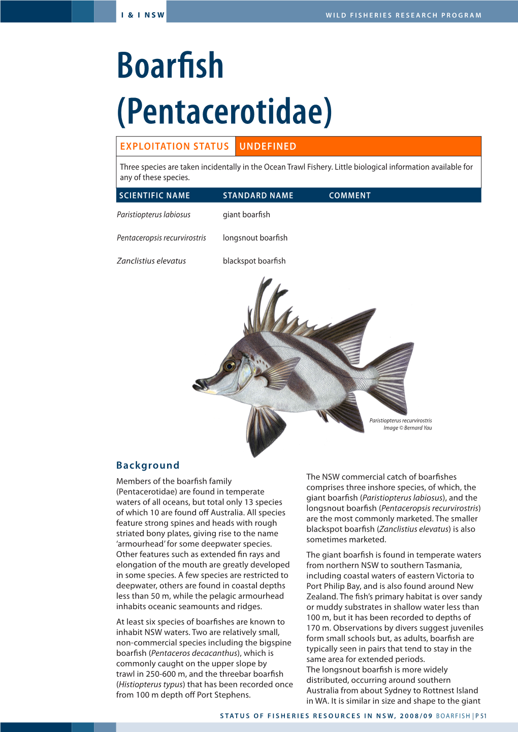 Boarfish (Pentacerotidae) Exploitation Status Undefined