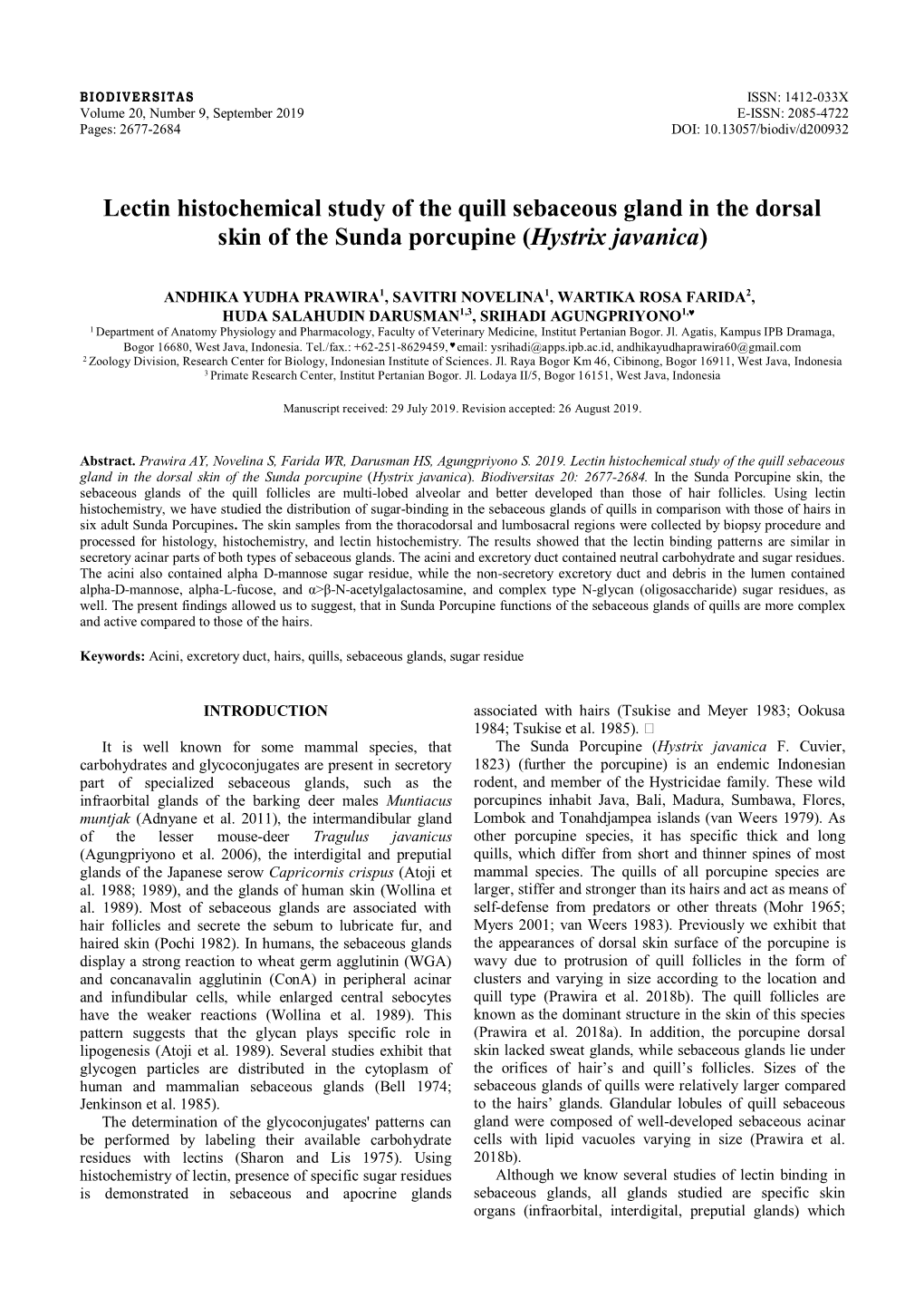 Lectin Histochemical Study of the Quill Sebaceous Gland in the Dorsal Skin of the Sunda Porcupine (Hystrix Javanica)