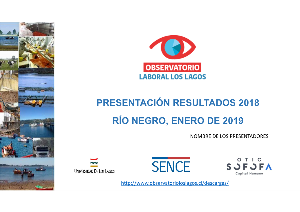 Presentación Resultados 2018 Río Negro, Enero De 2019