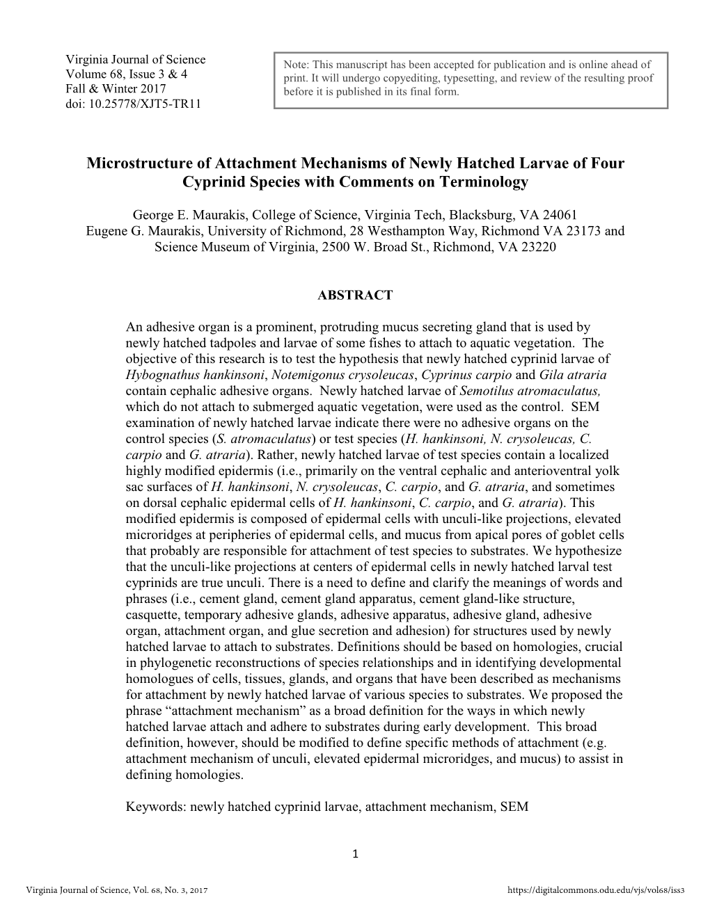 Microstructure of Attachment Mechanisms of Newly Hatched Larvae of Four Cyprinid Species with Comments on Terminology