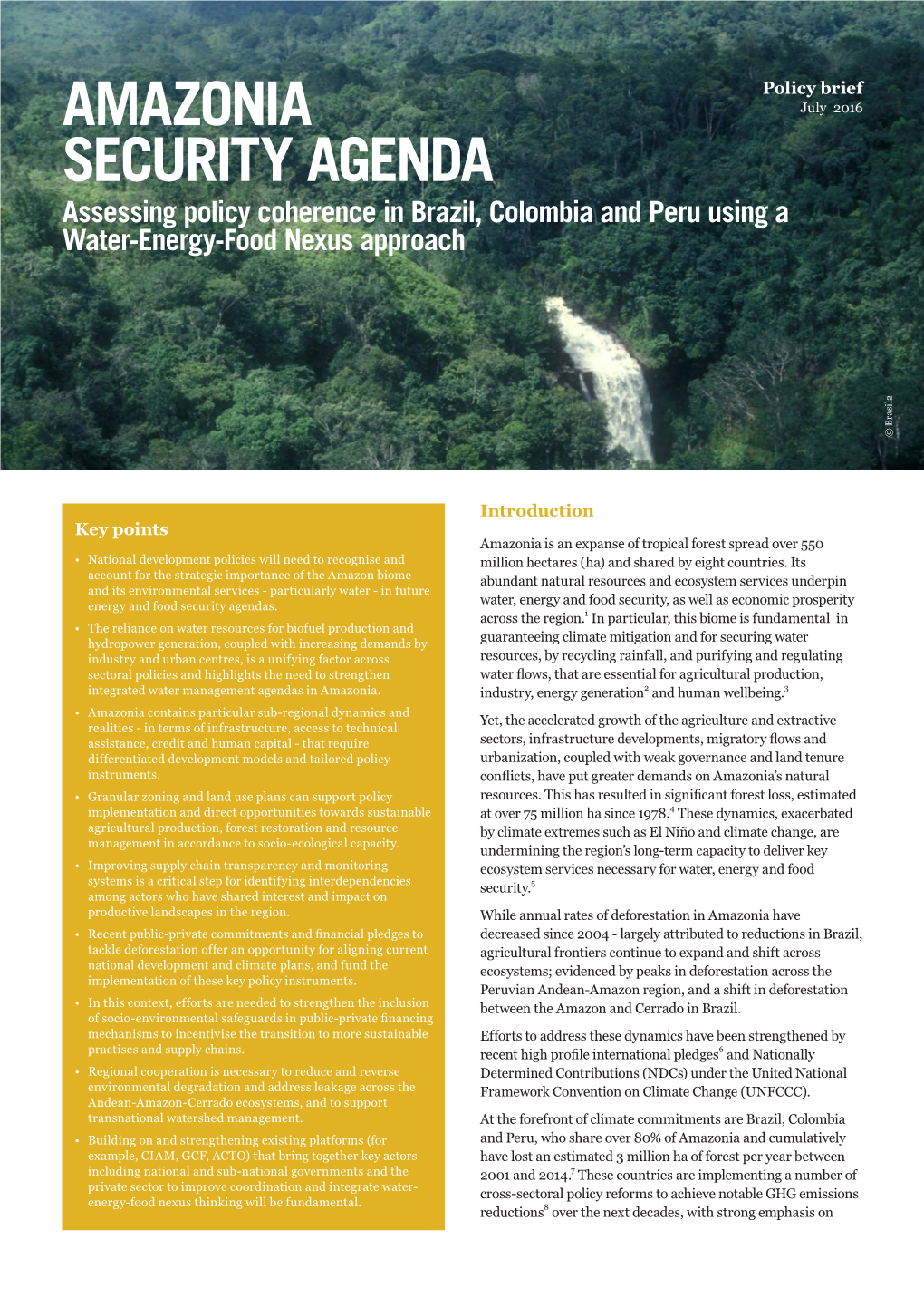 A Policy Brief Assessing Policy Coherence in Brazil, Colombia And