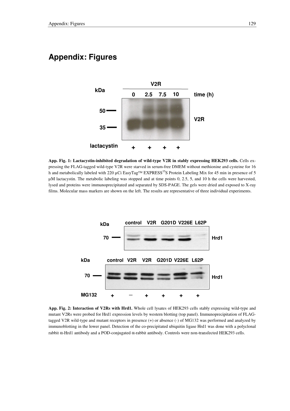 Appendix: Figures 129