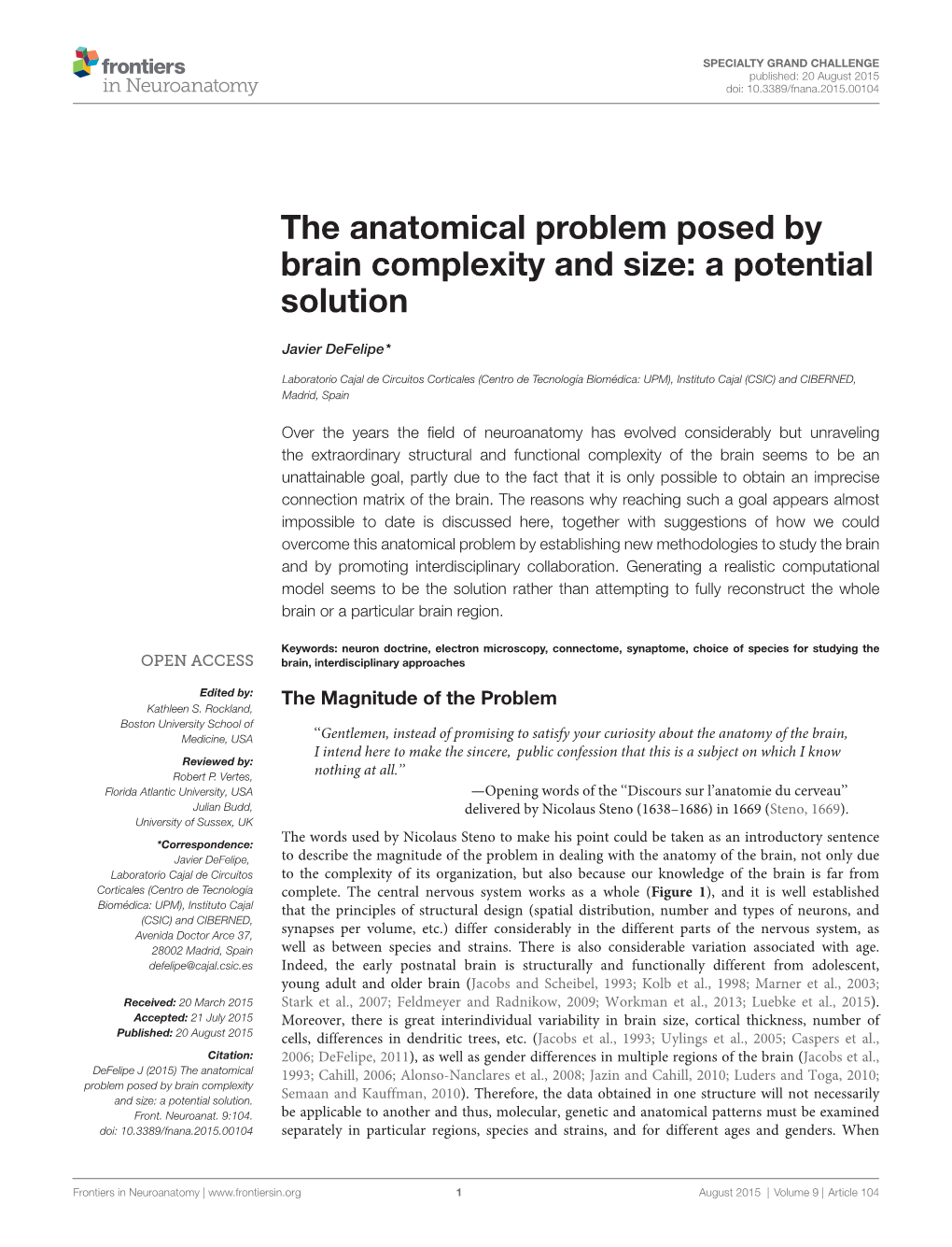 The Anatomical Problem Posed by Brain Complexity and Size: a Potential Solution