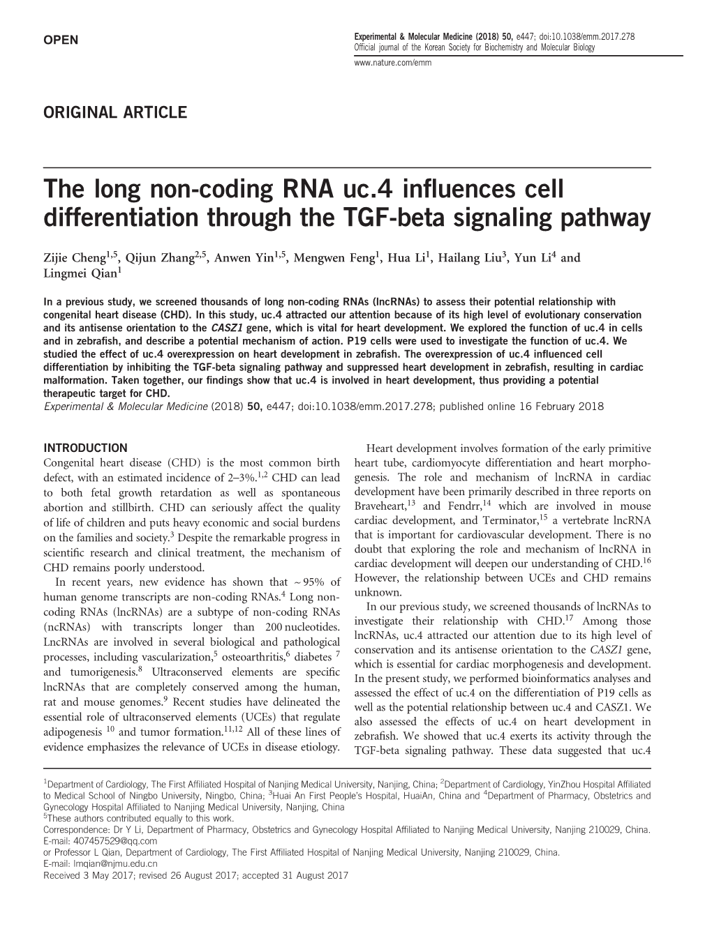 The Long Non-Coding RNA Uc.4 Influences Cell Differentiation Through the TGF-Beta Signaling Pathway
