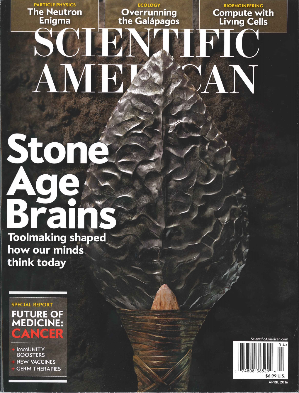 TALES of a STONE AGE NEUROSCIENTIST by Honing Toolmaking Skills While Scanning Their Own Brains, Researchers Are Studying How Cognition Evolved by Dietrich Stout