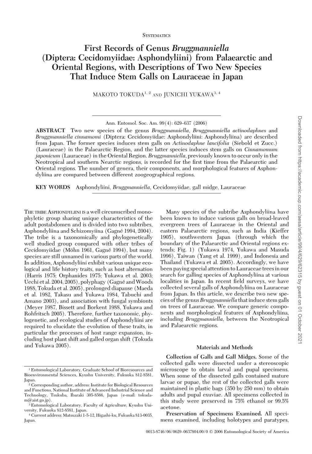 Diptera: Cecidomyiidae: Asphondyliini) from Palaearctic and Oriental Regions, with Descriptions of Two New Species That Induce Stem Galls on Lauraceae in Japan