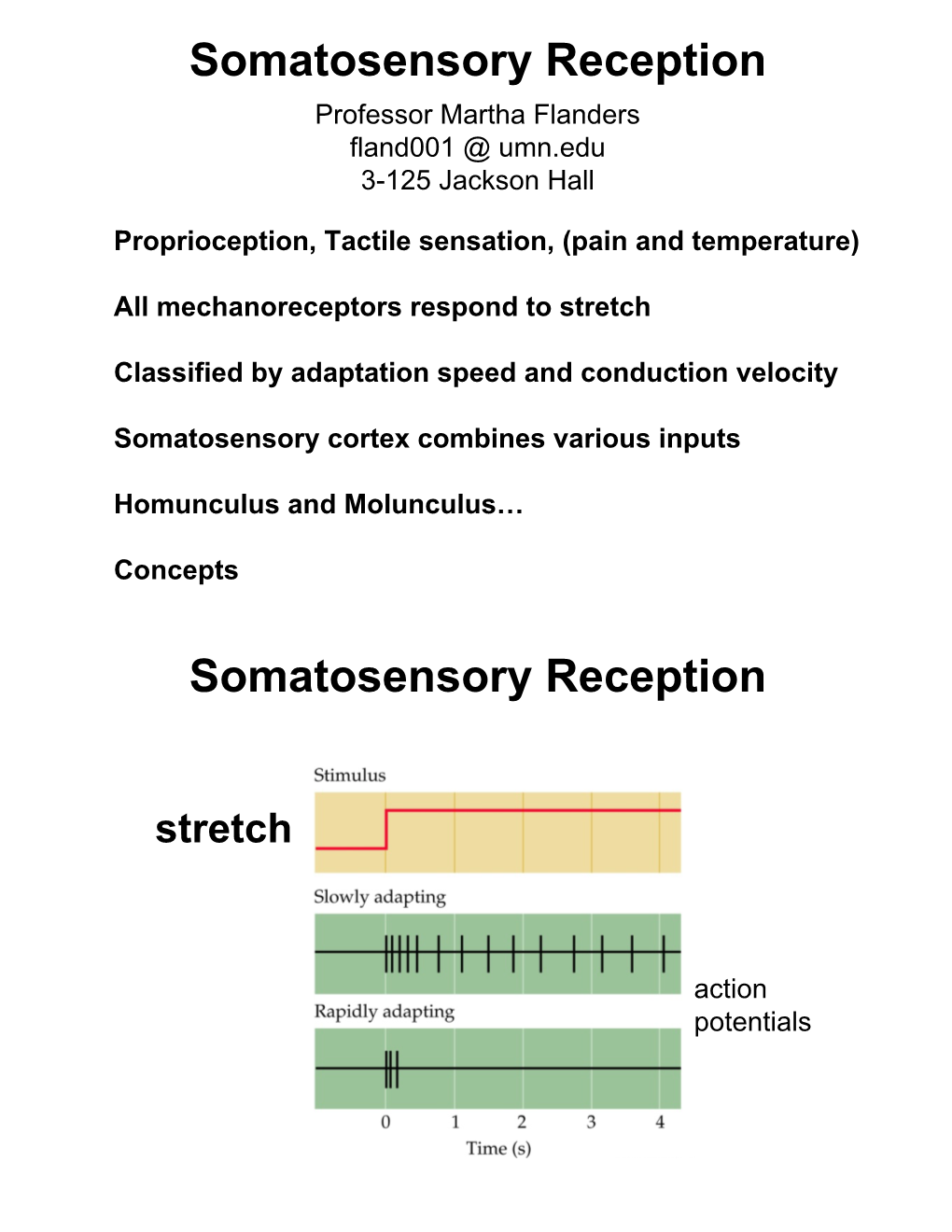 Somatosensory Reception Professor Martha Flanders Fland001 @ Umn.Edu 3-125 Jackson Hall