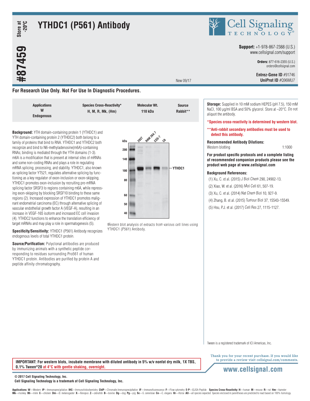 YTHDC1 (P561) Antibody -20ºC Store At