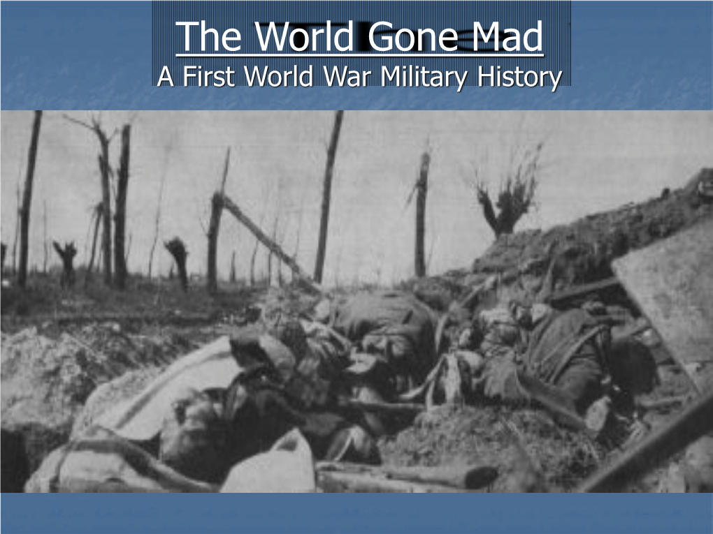 The World Gone Mad a First World War Military History Big Battles: Little Gain