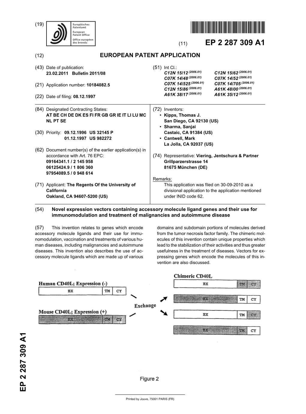 Novel Expression Vectors Containing Accessory Molecule Ligand Genes and Their Use for Immunomodulation and Treatment of Malignancies and Autoimmune Disease