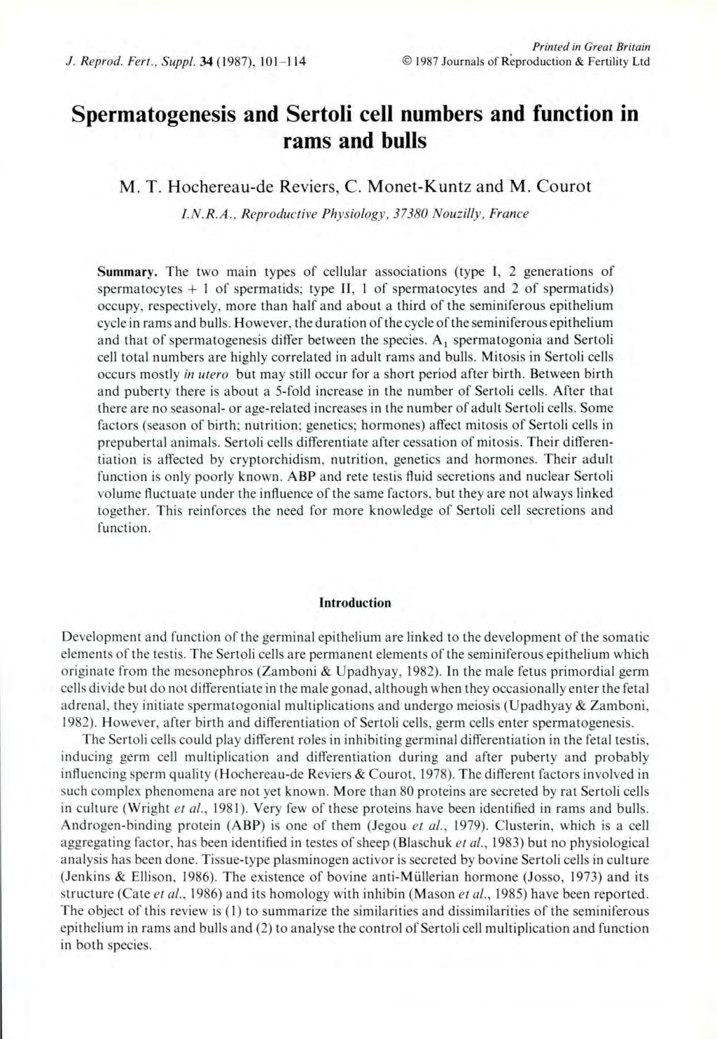 Spermatogenesis and Sertoli Cell Numbers and Function in Rams And