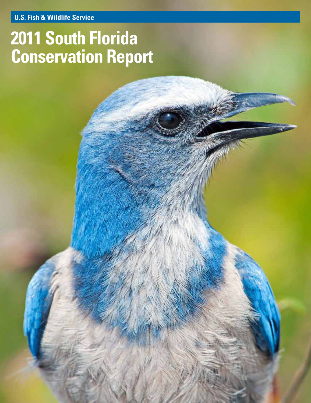 2011 South Florida Conservation Report