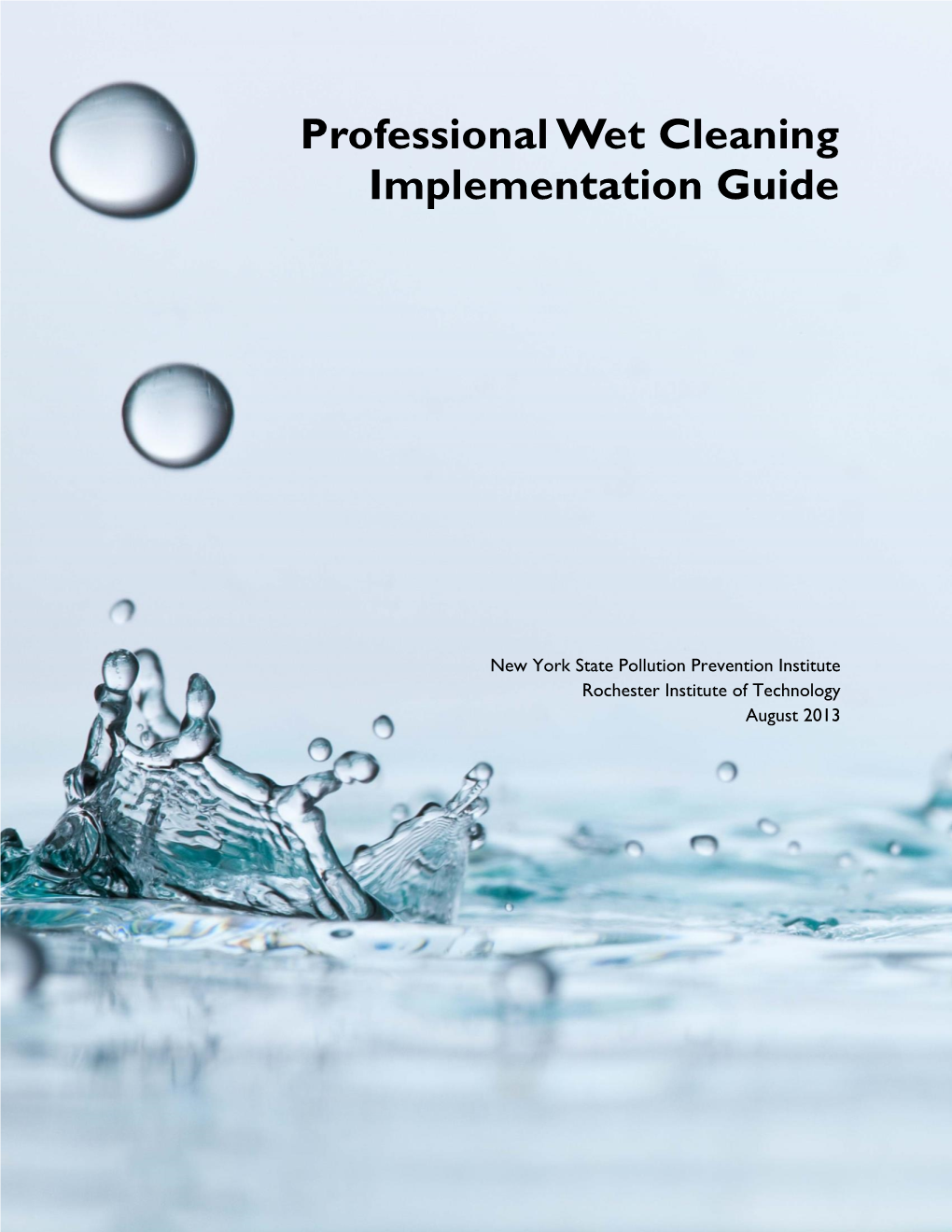 Professional Wet Cleaning Implementation Guide