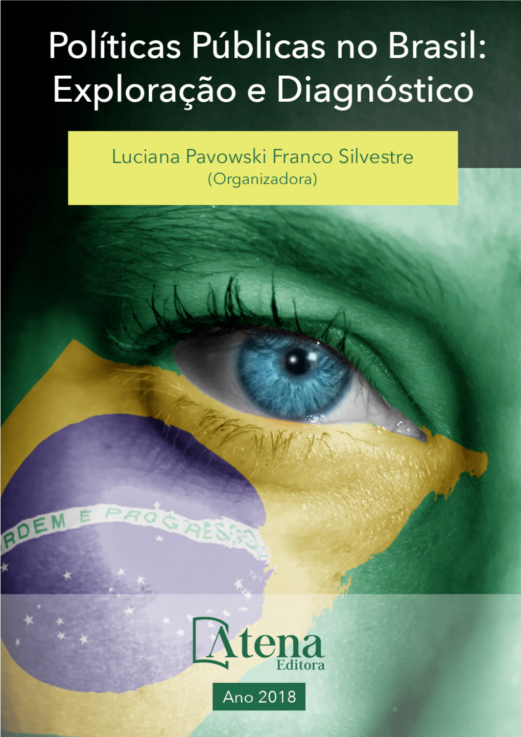 Políticas Públicas No Brasil: Exploração E Diagnóstico