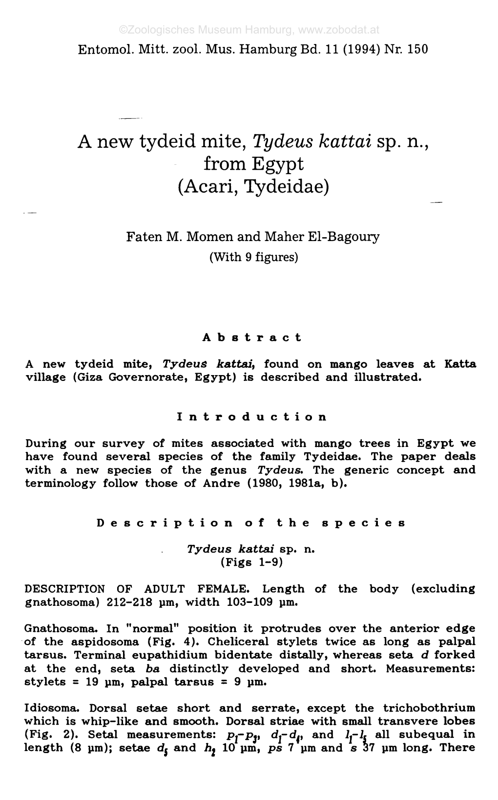 A New Tydeid Mite, Tydeus Kattai Sp. N., from Egypt (Acari, Tydeidae)