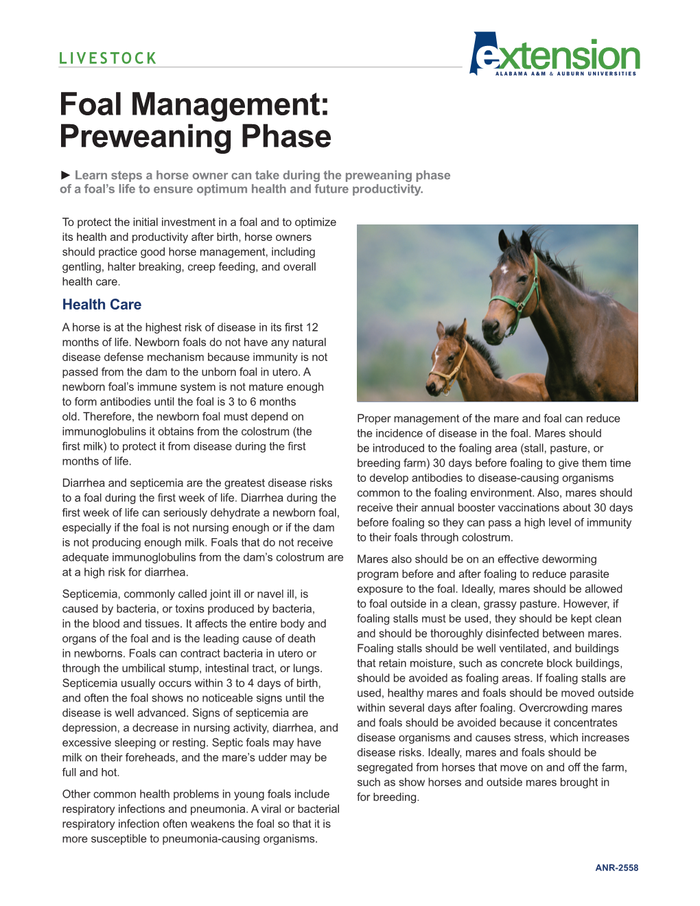 Foal Management: Preweaning Phase ► Learn Steps a Horse Owner Can Take During the Preweaning Phase of a Foal’S Life to Ensure Optimum Health and Future Productivity