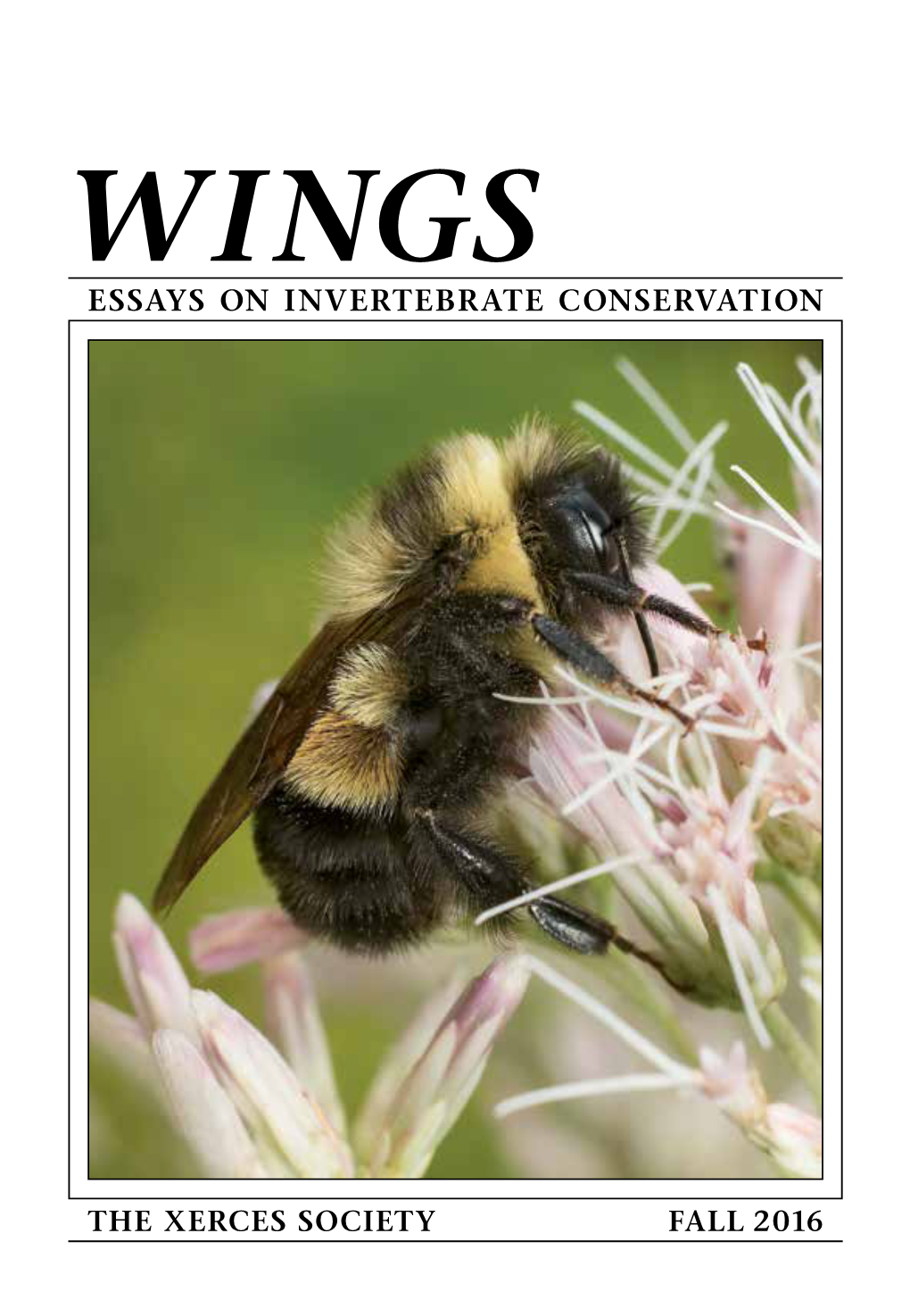 Essays on Invertebrate Conservation