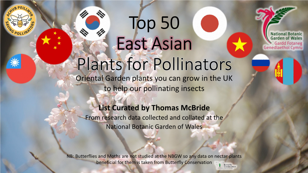 Top 50 East Asian Plants for Pollinators