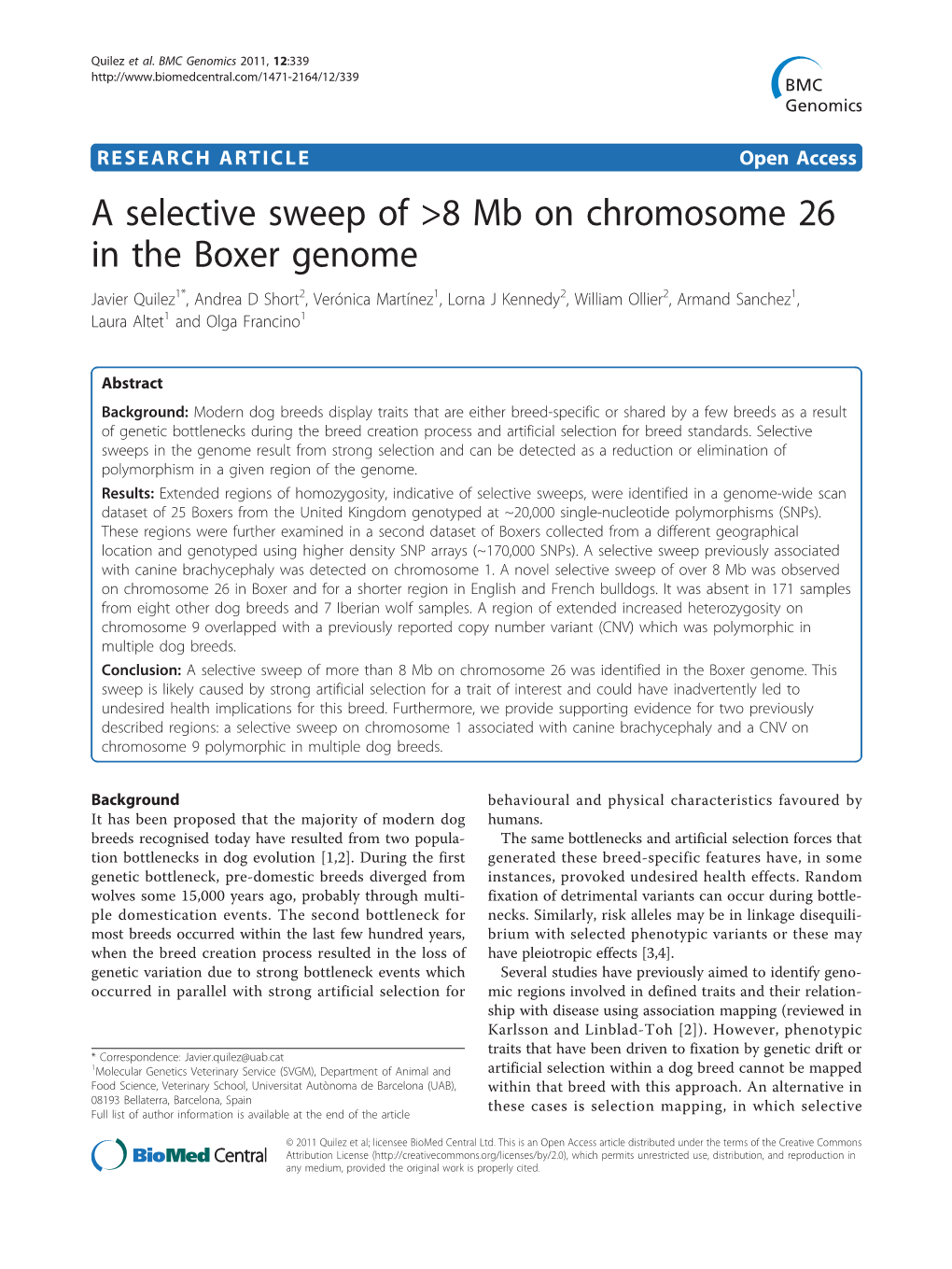 A Selective Sweep of &gt;8 Mb on Chromosome 26 in the Boxer Genome