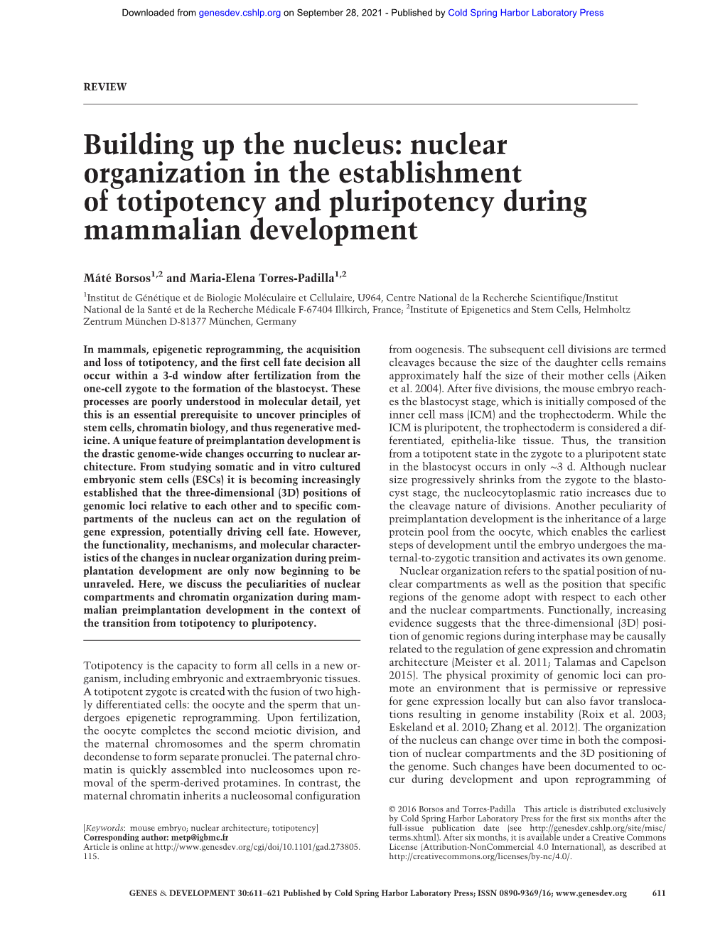 Building up the Nucleus: Nuclear Organization in the Establishment of Totipotency and Pluripotency During Mammalian Development