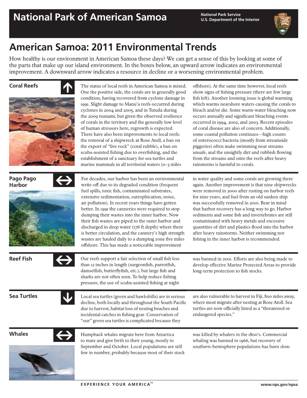 Environmental Trends