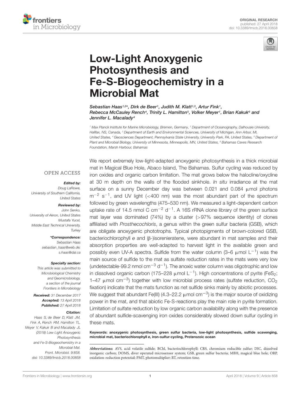 Low-Light Anoxygenic Photosynthesis and Fe-S-Biogeochemistry in a Microbial Mat