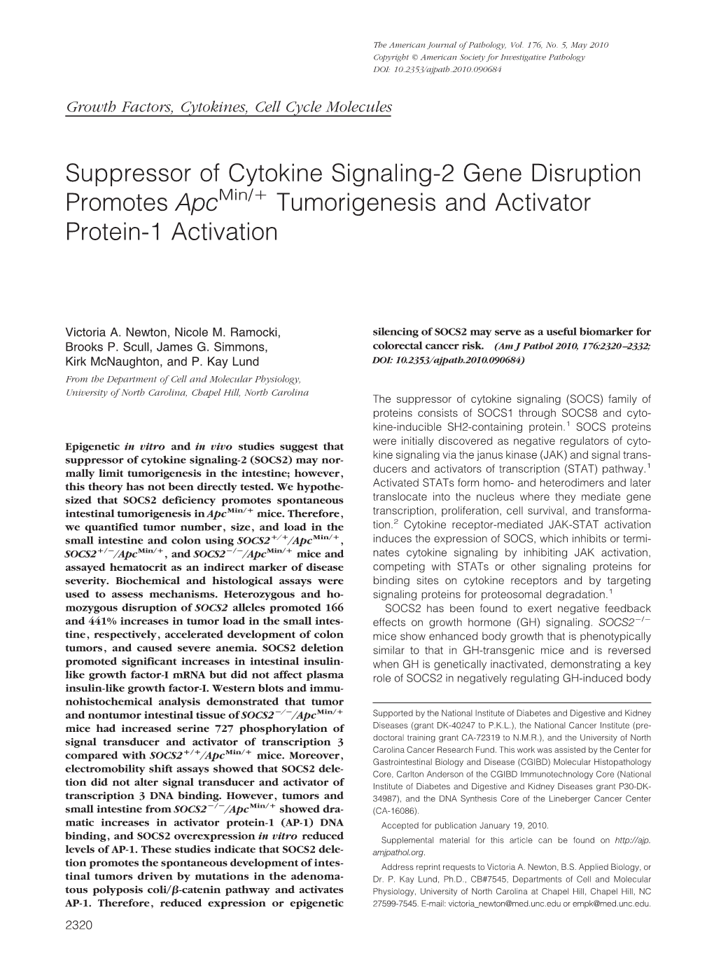 Suppressor of Cytokine Signaling-2 Gene Disruption Promotes Apcmin/Ϩ Tumorigenesis and Activator Protein-1 Activation