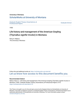 Life History and Management of the American Grayling (Thymallus Signifer Tricolor) in Montana