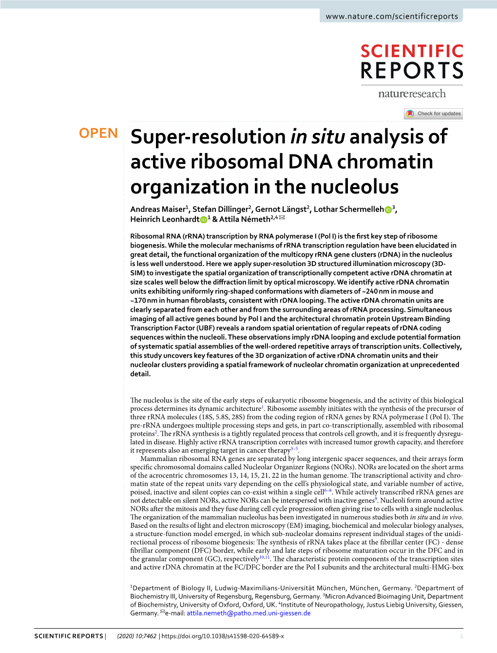 Super-Resolution in Situ Analysis of Active Ribosomal DNA Chromatin