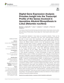 Digital Gene Expression Analysis Provides Insight Into the Transcript Proﬁle of the Genes Involved in Aporphine Alkaloid Biosynthesis in Lotus (Nelumbo Nucifera)