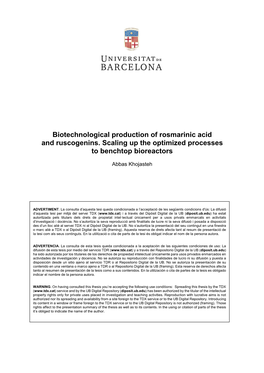Biotechnological Production of Rosmarinic Acid and Ruscogenins