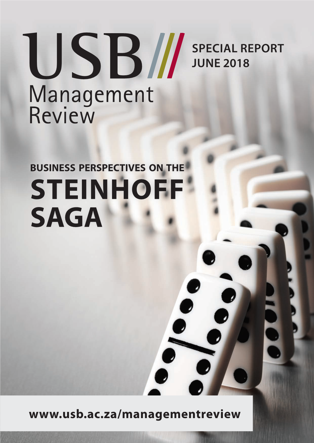 Business Perspectives on the Steinhoff Saga