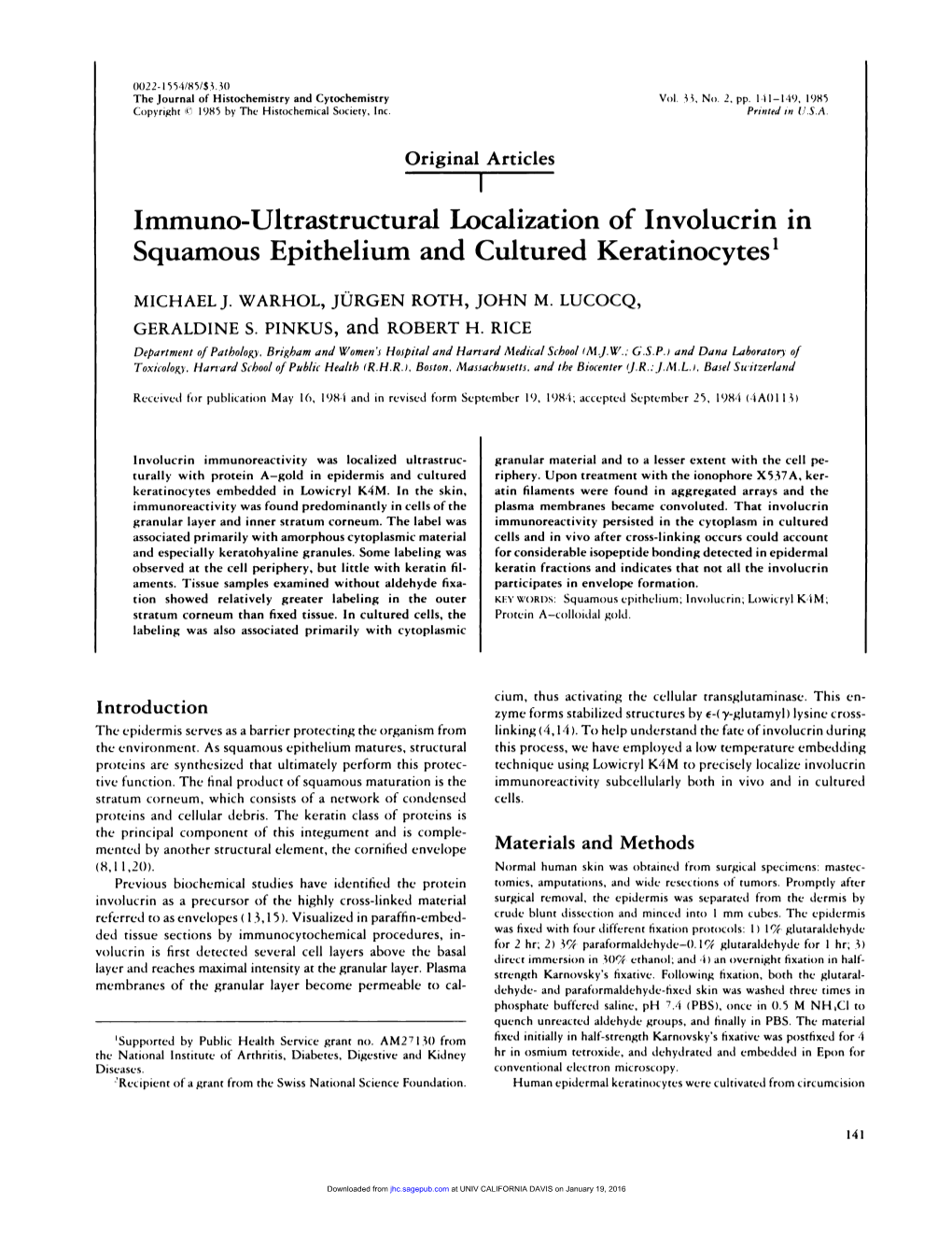 Immuno-Ultrastructural Localization of Involucrin in Squamous Epithelium and Cultured Keratinocytes’