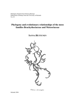 Phylogeny and Evolutionary Relationships of the Moss Families Brachytheciaceae and Meteoriaceae