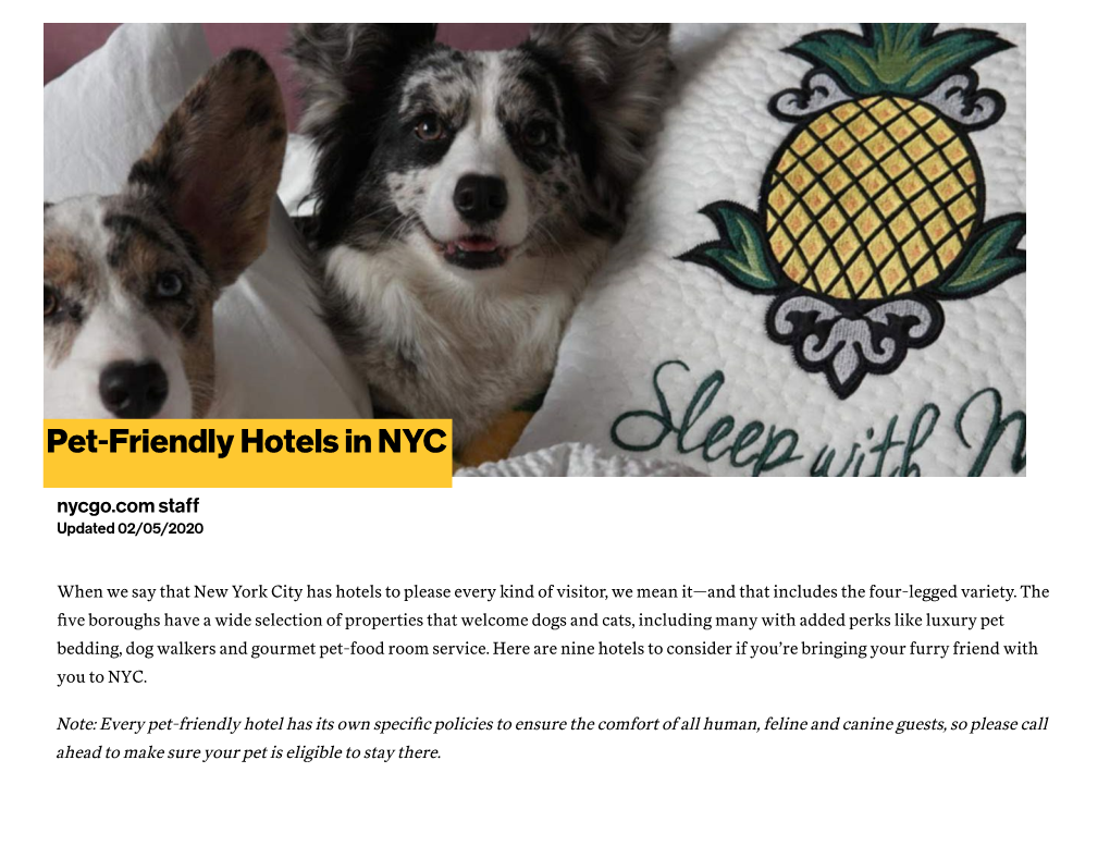 Pet-Friendly Hotels in NYC