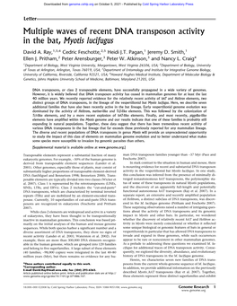 Multiple Waves of Recent DNA Transposon Activity in the Bat, Myotis Lucifugus