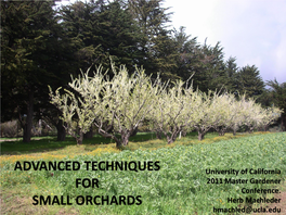 Advanced Techniques for Small Orchards