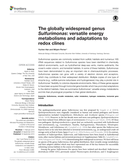 The Globally Widespread Genus Sulfurimonas: Versatile Energy Metabolisms and Adaptations to Redox Clines
