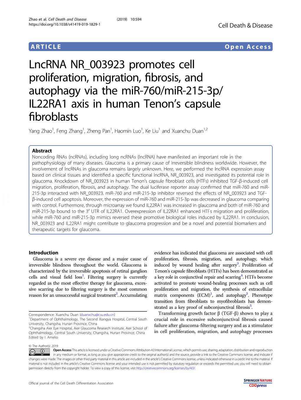 Lncrna NR 003923 Promotes Cell Proliferation, Migration, Fibrosis, And
