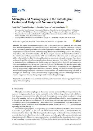 Microglia and Macrophages in the Pathological Central and Peripheral Nervous Systems