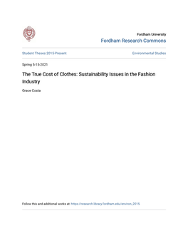 The True Cost of Clothes: Sustainability Issues in the Fashion Industry