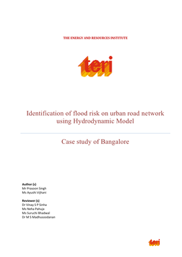 Identification of Flood Risk on Urban Road Network Using Hydrodynamic Model