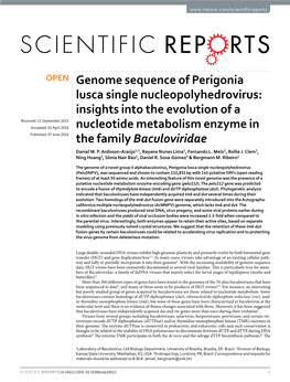 Genome Sequence of Perigonia Lusca Single